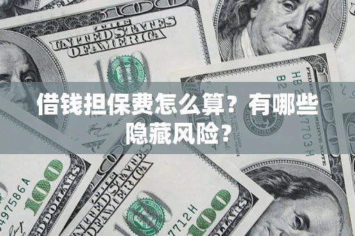 武汉借钱担保费怎么算?有哪些隐藏风险? 武汉借钱担保费怎么算?有哪些隐藏风险?