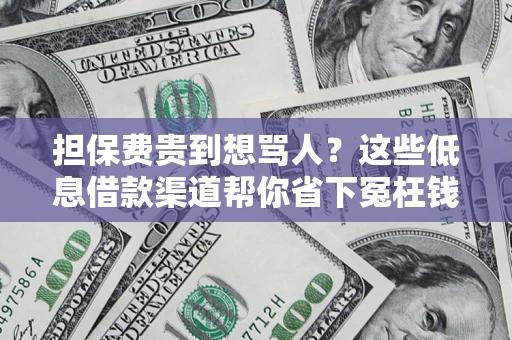 武汉担保费贵到想骂人？这些低息借款渠道帮你省下冤枉钱